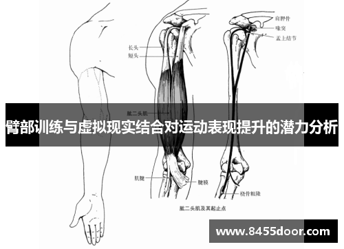 臂部训练与虚拟现实结合对运动表现提升的潜力分析